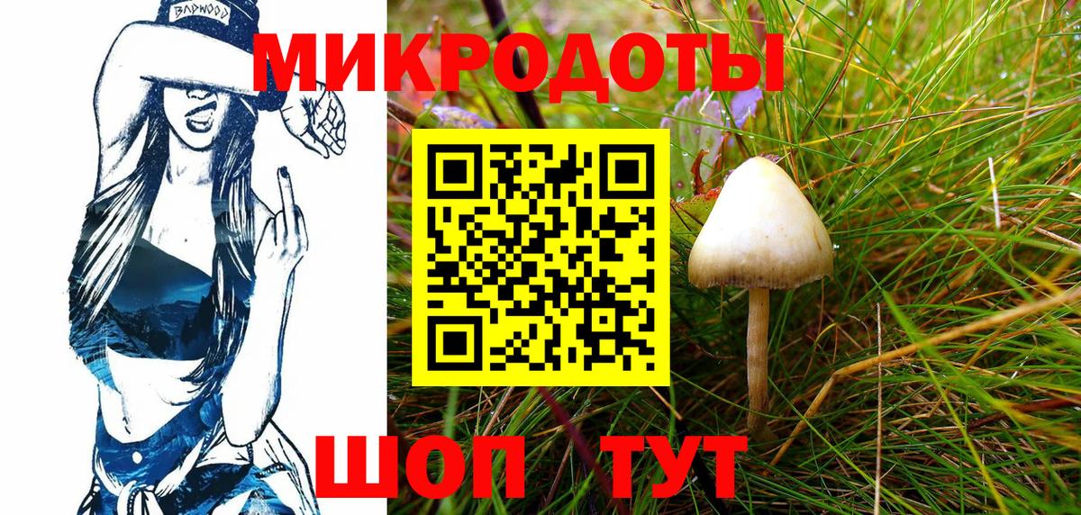 Большой Камень  Псилоцибиновые грибы прущие грибы  Вход с VPN 